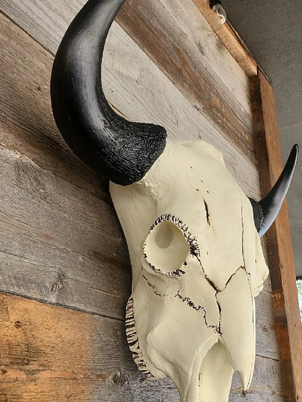 Decorative Ivory and Black Bison Skull Wall Accent